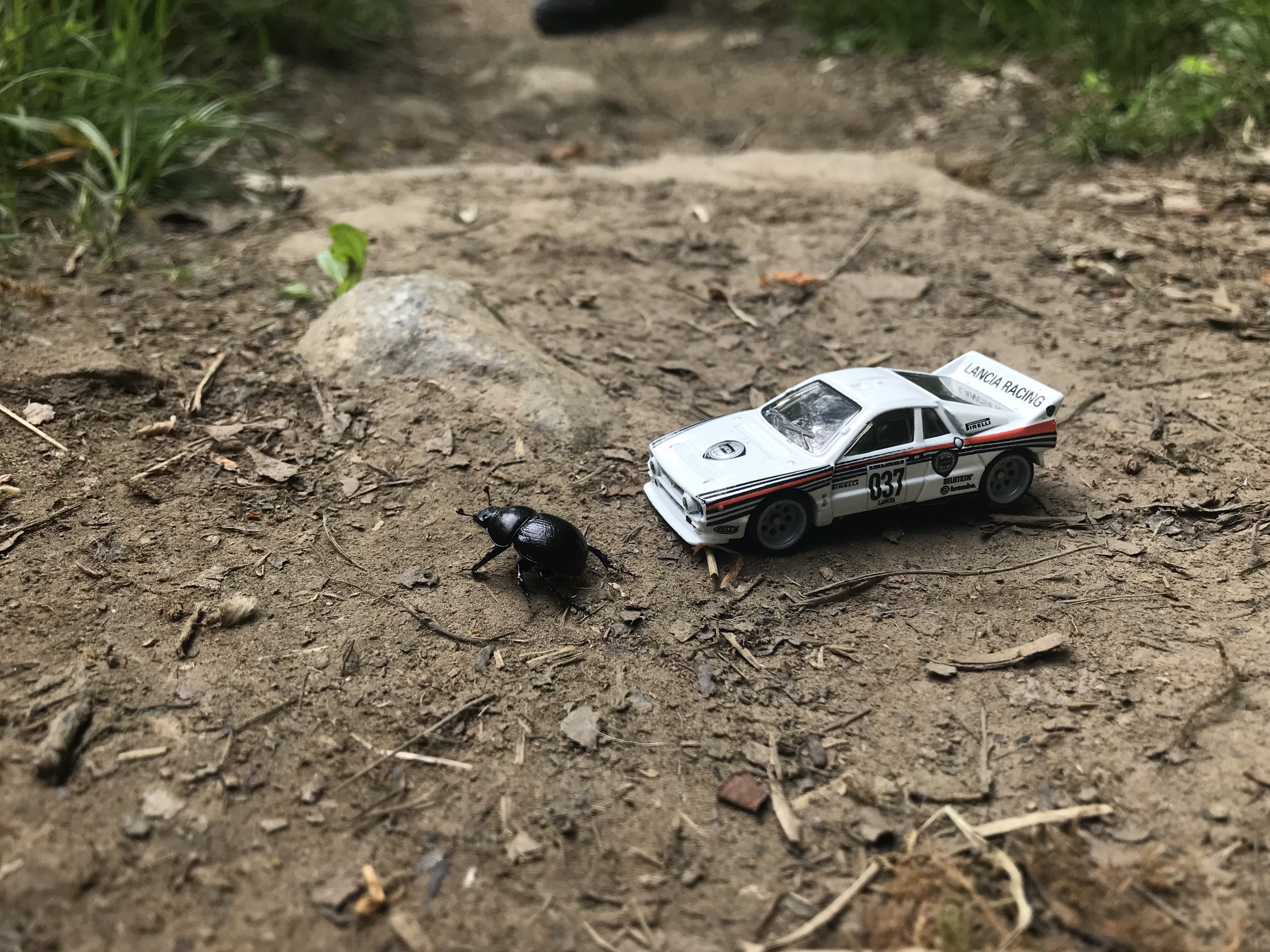 Hotwheels Grp B Rally Lancia 037 on a dirt path. A beetle about 1/3 the size of the car is nearby [XOR37H - Alchemy Mindworks Productskg]