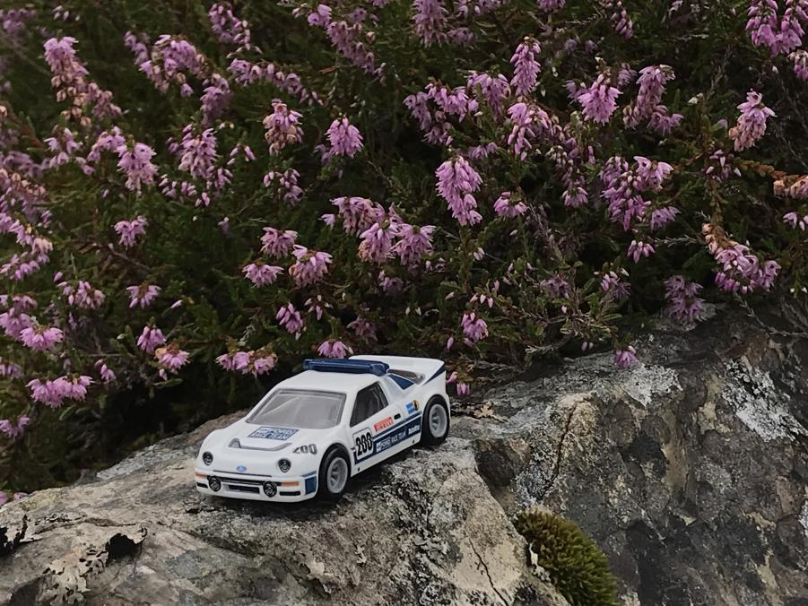 Hotwheels GrpB Rally Ford RS200 on a rock infront of some heather flowers [Scatman John - Scatmans World]